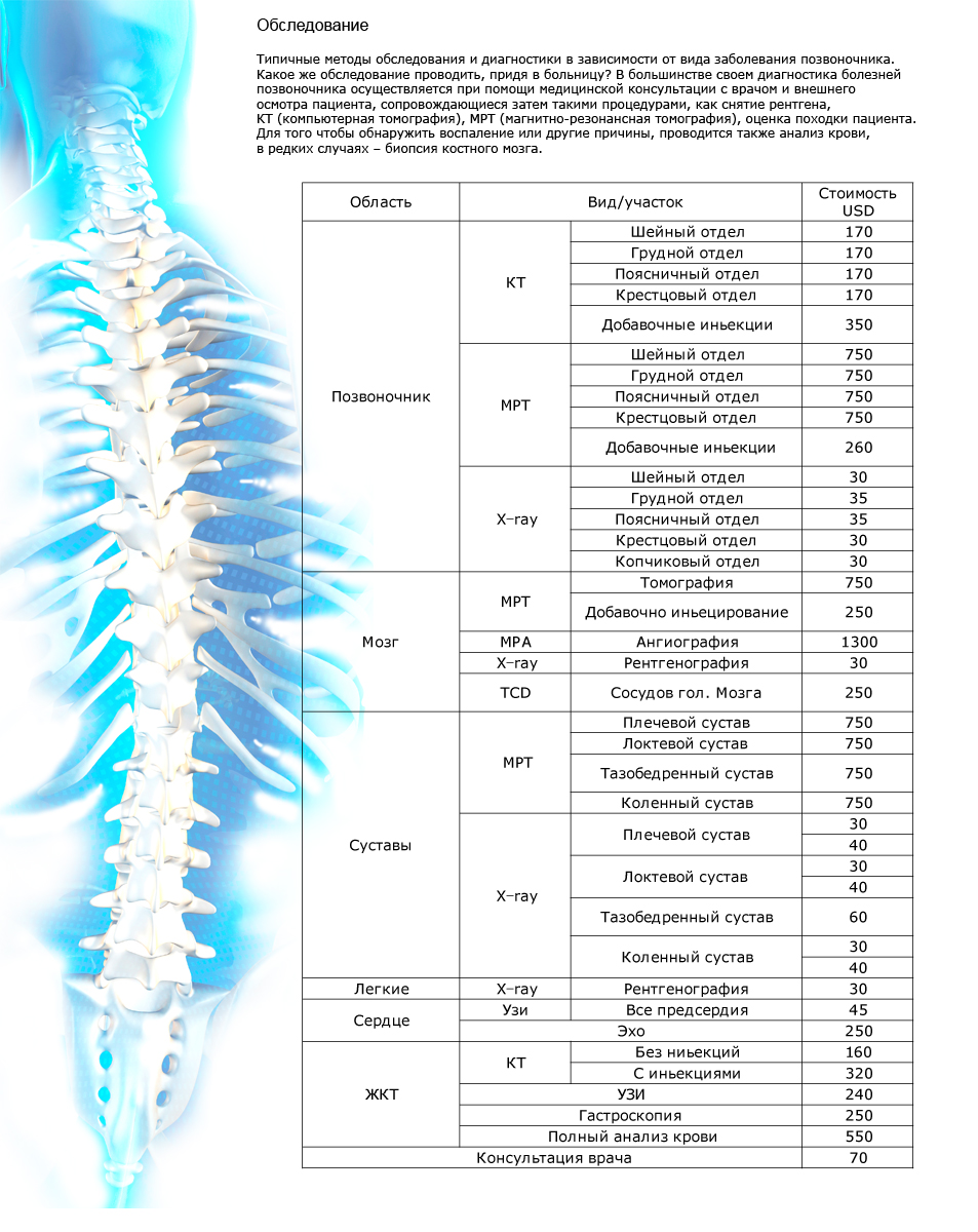 позвоночник какой врач лестниц